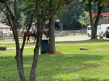 ノーザンホースパークに投稿された画像（2025/7/31）