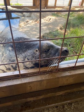 那須どうぶつ王国に投稿された画像（2025/7/31）