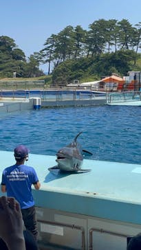 越前松島水族館に投稿された画像（2025/7/31）