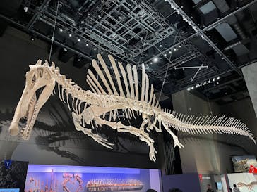 福井県立恐竜博物館に投稿された画像（2025/7/31）