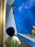 葛西臨海水族園に投稿された画像（2025/7/31）