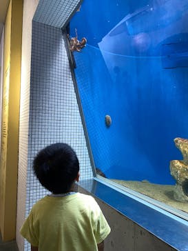 葛西臨海水族園に投稿された画像（2025/7/31）
