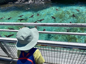 葛西臨海水族園に投稿された画像（2025/7/31）