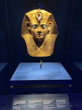 ACN ラムセス大王展 ファラオたちの黄金に投稿された画像（2025/7/31）
