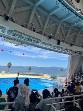 マリンワールド海の中道に投稿された画像（2025/7/31）