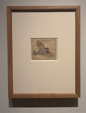 スウェーデン国立美術館　素描コレクション展―ルネサンスからバロックまでに投稿された画像（2025/7/31）