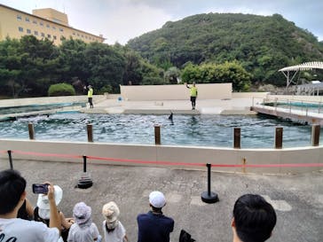 太地町立くじらの博物館に投稿された画像（2025/7/31）