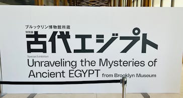 ブルックリン博物館所蔵　特別展　古代エジプト（豊田会場）に投稿された画像（2025/7/31）