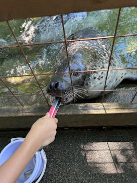 那須どうぶつ王国に投稿された画像（2025/7/31）