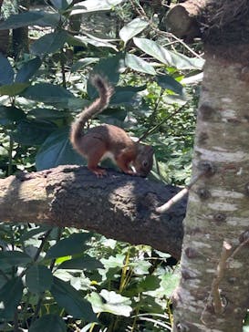 那須どうぶつ王国に投稿された画像（2025/7/31）