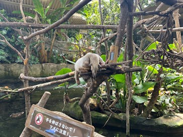 那須どうぶつ王国に投稿された画像（2025/7/31）