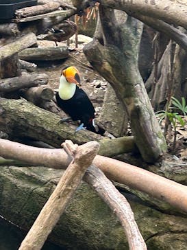 那須どうぶつ王国に投稿された画像（2025/7/31）