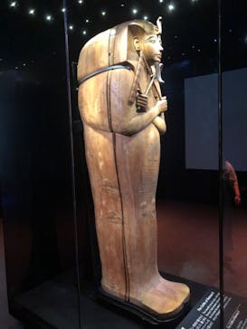 ACN ラムセス大王展 ファラオたちの黄金に投稿された画像（2025/7/31）