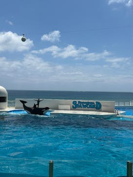 鴨川シーワールドに投稿された画像（2025/7/31）