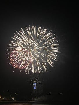 新江ノ島水族館に投稿された画像（2025/7/31）