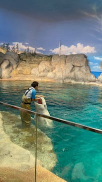 名古屋港水族館に投稿された画像（2025/7/31）