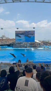 名古屋港水族館に投稿された画像（2025/7/31）