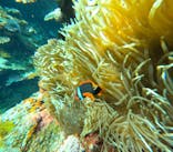  マリンショップHAPPYに投稿された画像（2025/7/31）