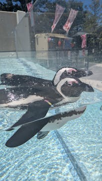 マリンワールド海の中道に投稿された画像（2025/7/31）