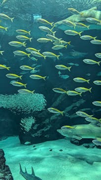 マリンワールド海の中道に投稿された画像（2025/7/31）