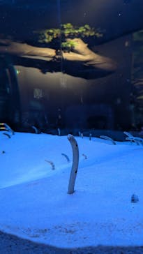 マリンワールド海の中道に投稿された画像（2025/7/31）