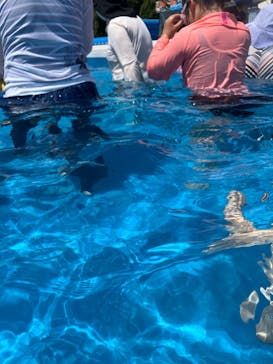 稲毛海浜公園（SUNSET BEACH PARK INAGE）に投稿された画像（2025/7/31）