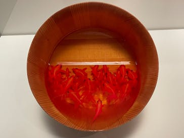 あべのハルカス美術館に投稿された画像（2025/7/31）