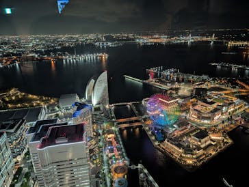 横浜ランドマークタワー 69階展望フロア スカイガーデンに投稿された画像（2025/7/31）