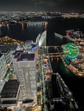 横浜ランドマークタワー 69階展望フロア スカイガーデンに投稿された画像（2025/7/31）