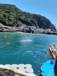 下田海中水族館に投稿された画像（2025/7/31）