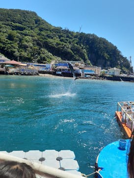 下田海中水族館に投稿された画像（2025/7/31）