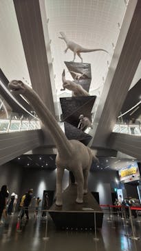 福井県立恐竜博物館に投稿された画像（2025/7/31）