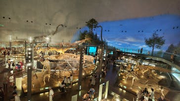 福井県立恐竜博物館に投稿された画像（2025/7/31）