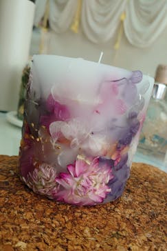 ずこうしつ〜sugamo〜に投稿された画像（2025/7/31）