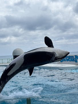 鴨川シーワールドに投稿された画像（2025/7/31）