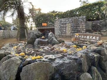 伊豆シャボテン動物公園に投稿された画像（2025/7/31）