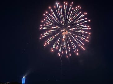 新江ノ島水族館に投稿された画像（2025/7/31）
