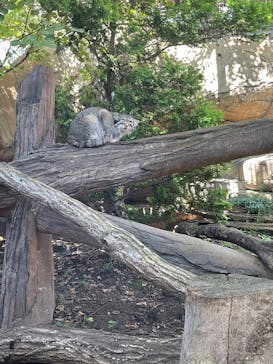 那須どうぶつ王国に投稿された画像（2025/7/31）