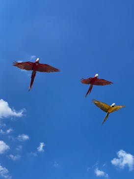 那須どうぶつ王国に投稿された画像（2025/7/31）