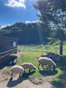 那須どうぶつ王国に投稿された画像（2025/7/31）