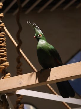 NIFREL（ニフレル）に投稿された画像（2025/7/31）