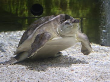 NIFREL（ニフレル）に投稿された画像（2025/7/31）