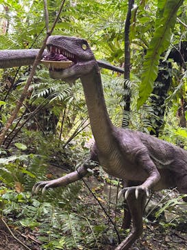 御菓子御殿　名護店　やんばる亜熱帯の森DINO恐竜PARKに投稿された画像（2025/7/31）