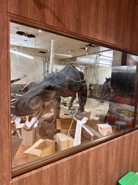 御菓子御殿　名護店　やんばる亜熱帯の森DINO恐竜PARKに投稿された画像（2025/7/31）