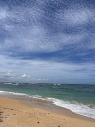 ブルースカイに投稿された画像（2025/7/31）