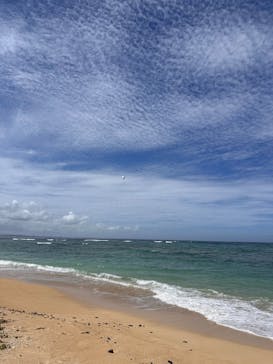 ブルースカイに投稿された画像（2025/7/31）