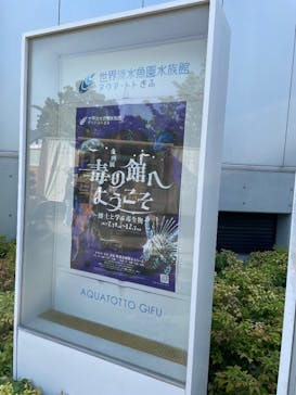世界淡水魚園水族館　アクア・トトぎふに投稿された画像（2025/7/31）