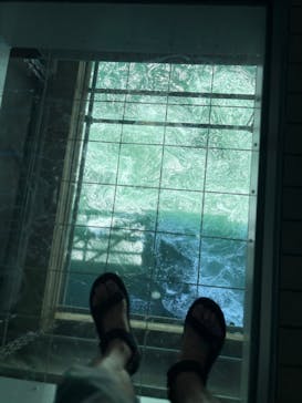 徳島県立 渦の道に投稿された画像（2025/7/31）