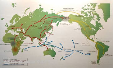 特別展「古代ＤＮＡ－日本人のきた道－」に投稿された画像（2025/7/31）