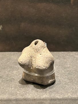 特別展「古代ＤＮＡ－日本人のきた道－」に投稿された画像（2025/7/31）